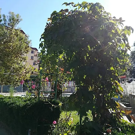 فندق Park 1 كيتن