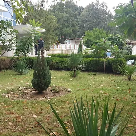 Park 1 فندق