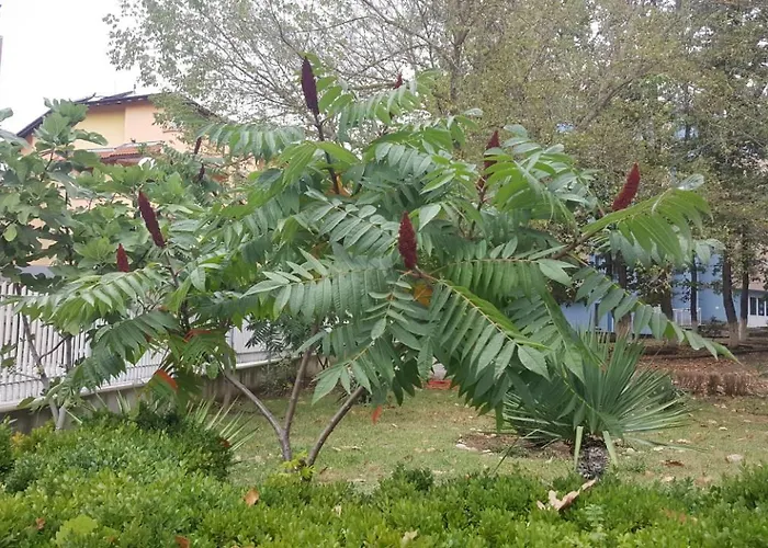 Park 1 Ξενοδοχείο 2*